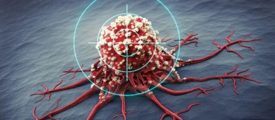 new-drug-combo-could-help-immune-cells-target-and-destroy-cancer-cells-.jpg