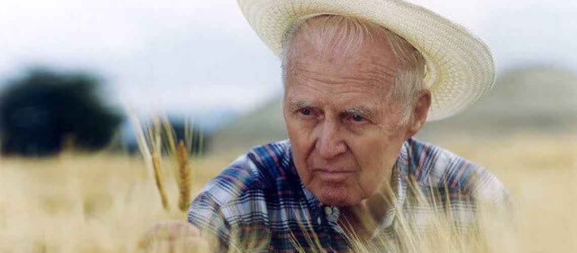 norman-borlaug-.jpg