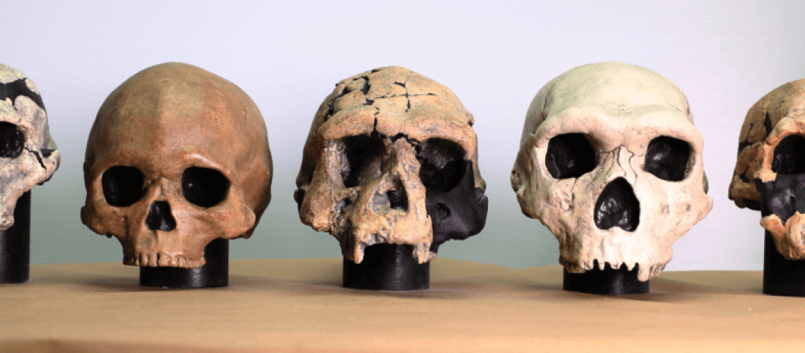origins-4-24-18-1.jpg-1-1024x345.png