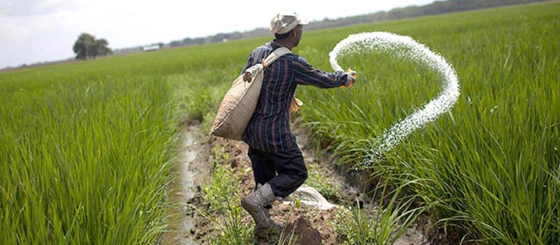pakistani-farmer.jpg