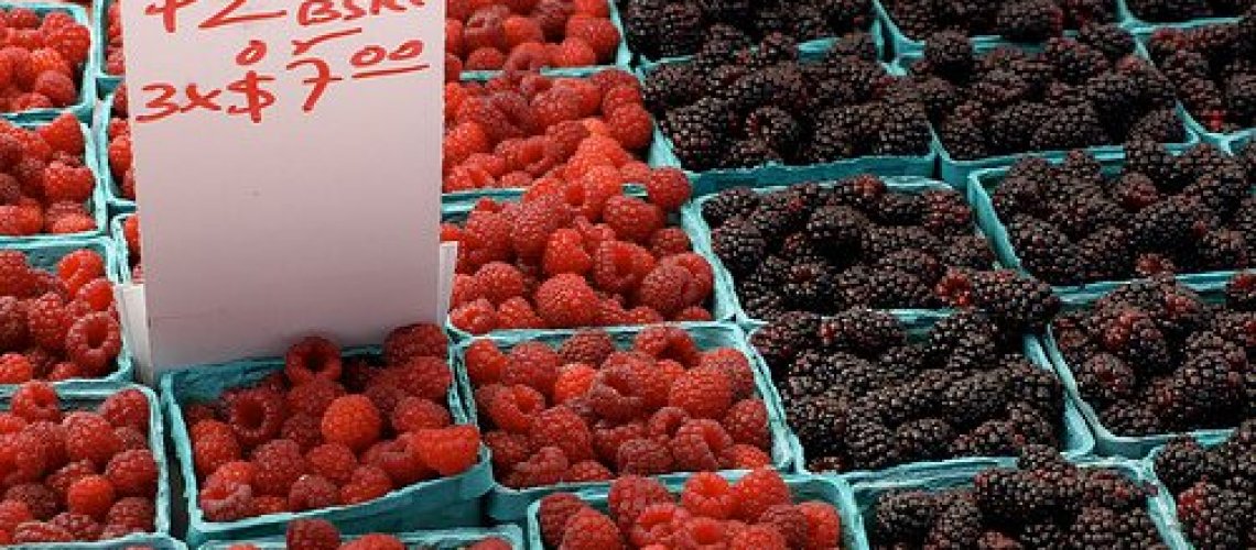pesticide-free-berries-thumb-500x362-1265.jpg
