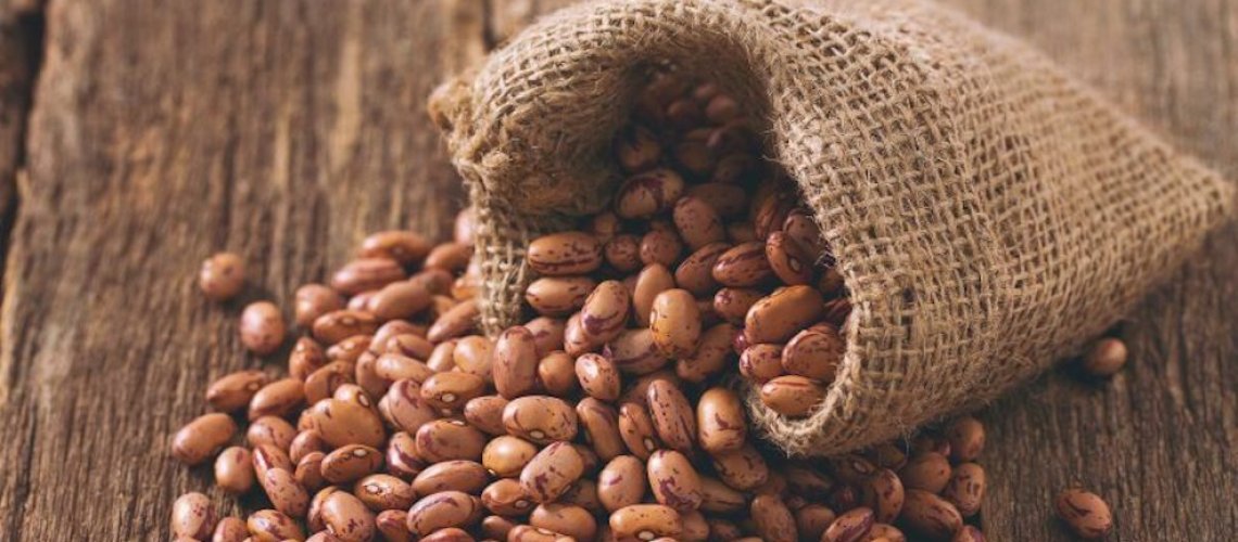 pinto-beans-header-b.jpg