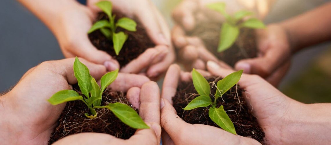 plant-roots-101.jpg