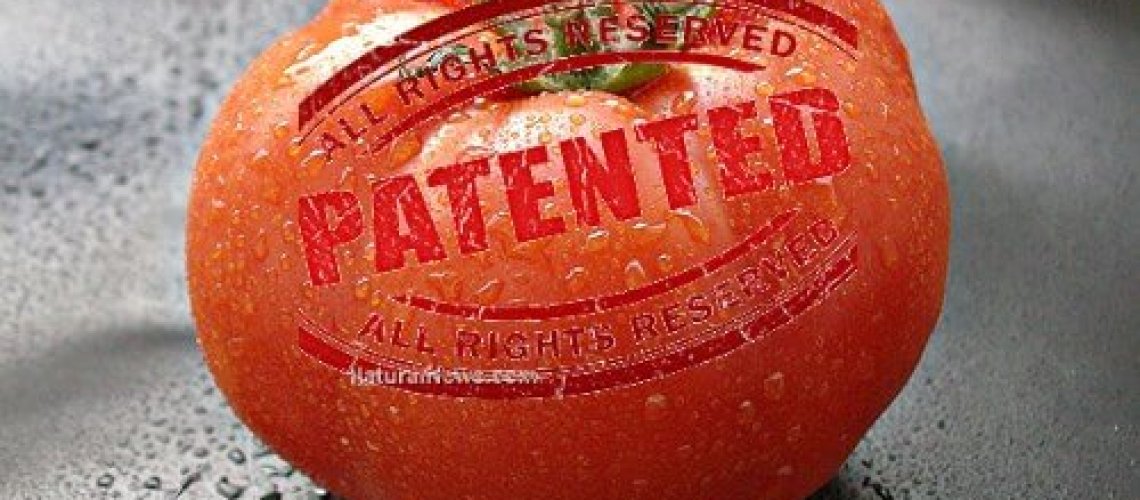 pomodoro_1.jpg