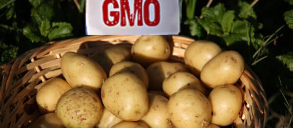 potato-.jpg