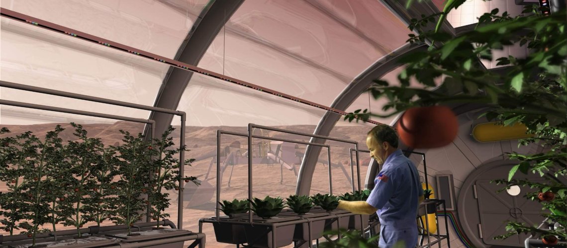 potatoes-in-space-greenhouse.jpg