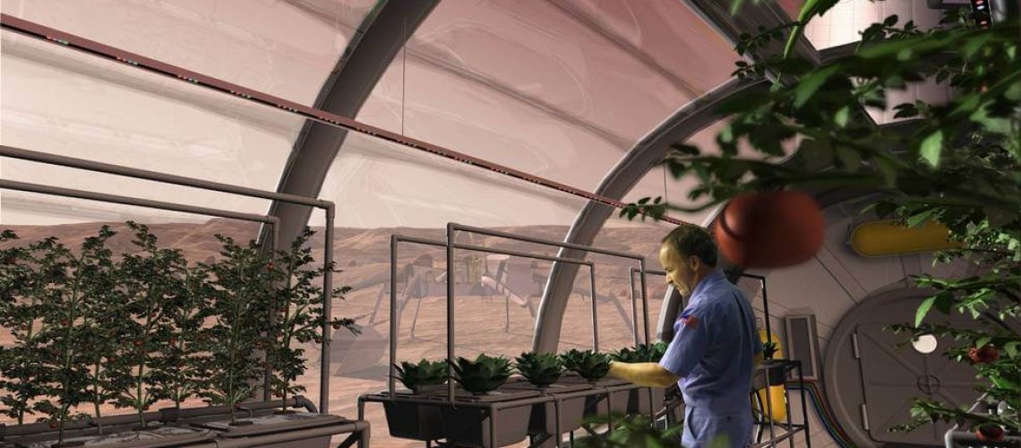potatoes-in-space-greenhouse.jpg