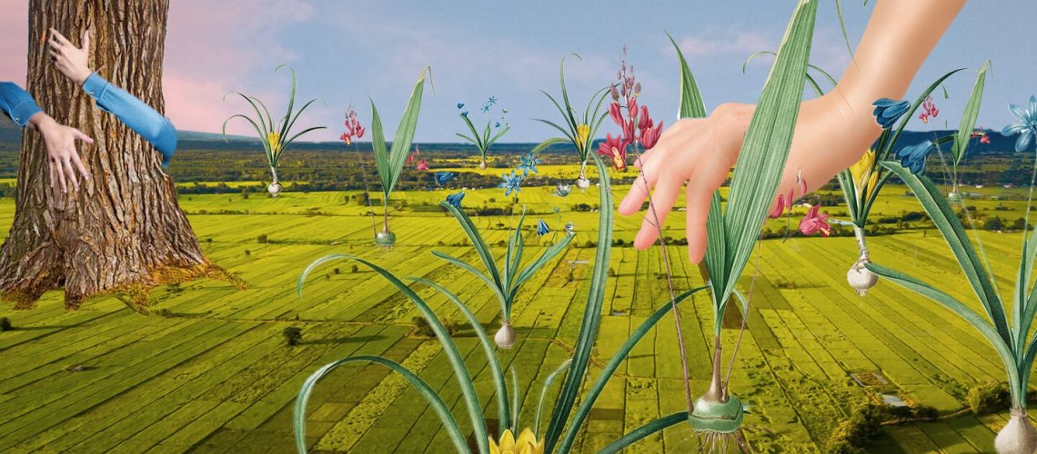 regenerative-farming-final.jpg