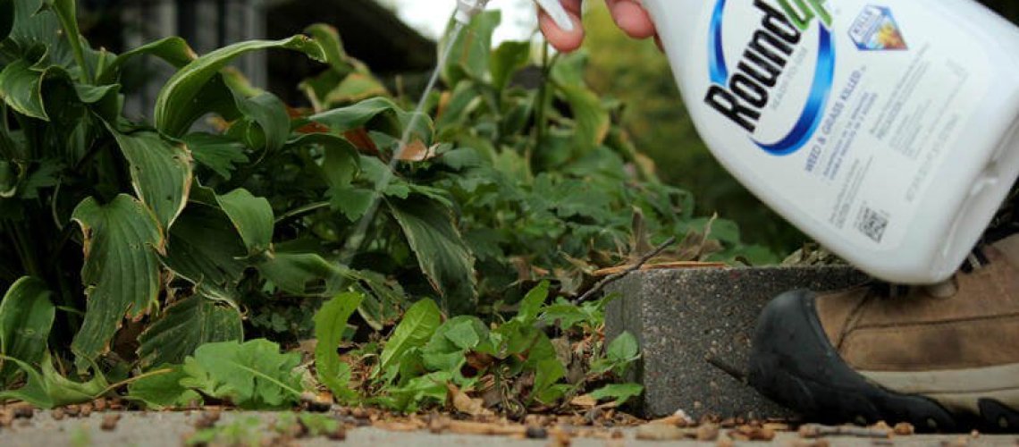 roundup-spray-222888444.jpg