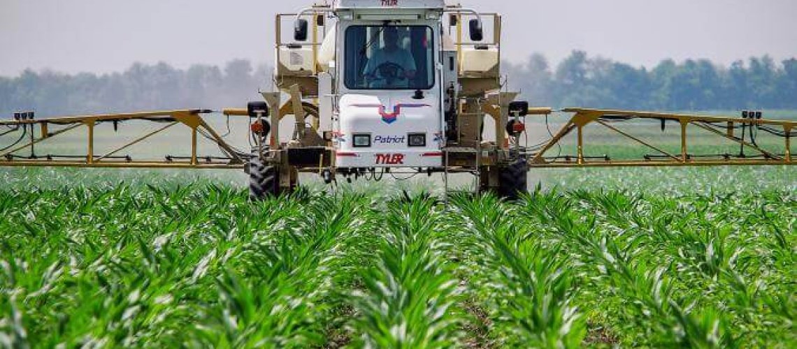 roundup444678.jpg