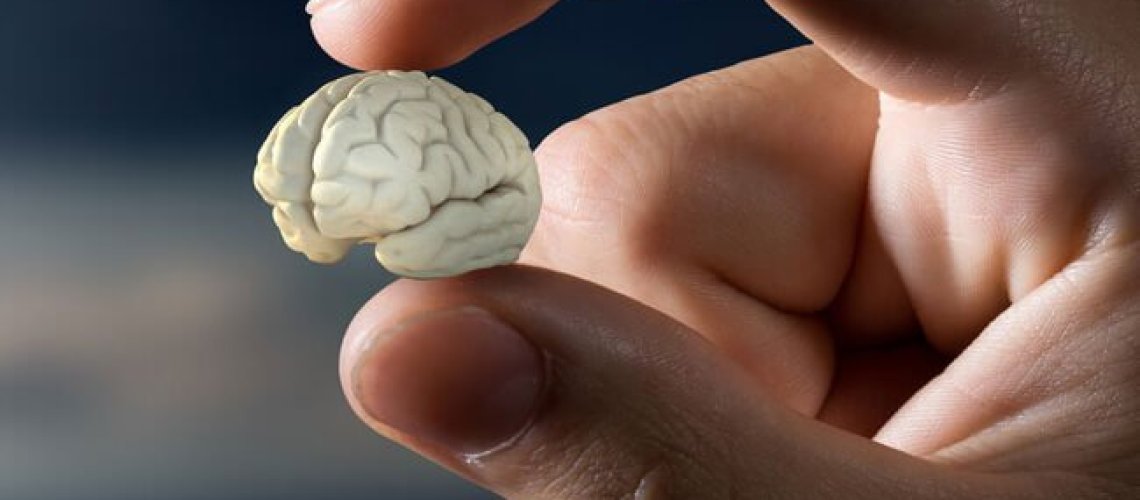 scientists-test-the-effects-of-psychedelic-drugs-on-lab-grown-brains.jpg