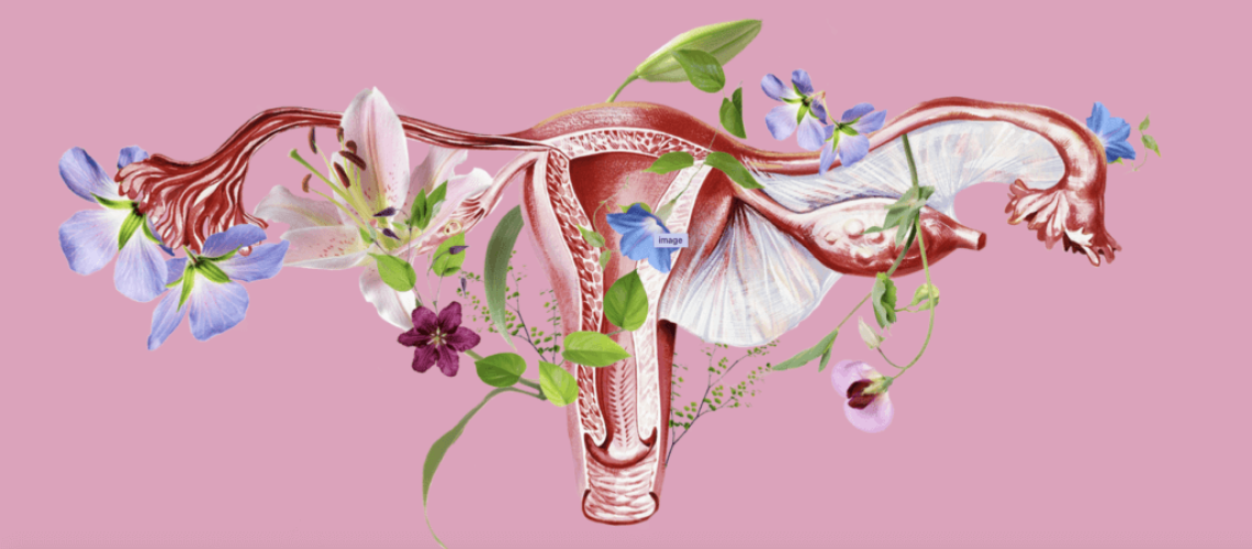 screen-shot-at-pm-2-1024x465.png