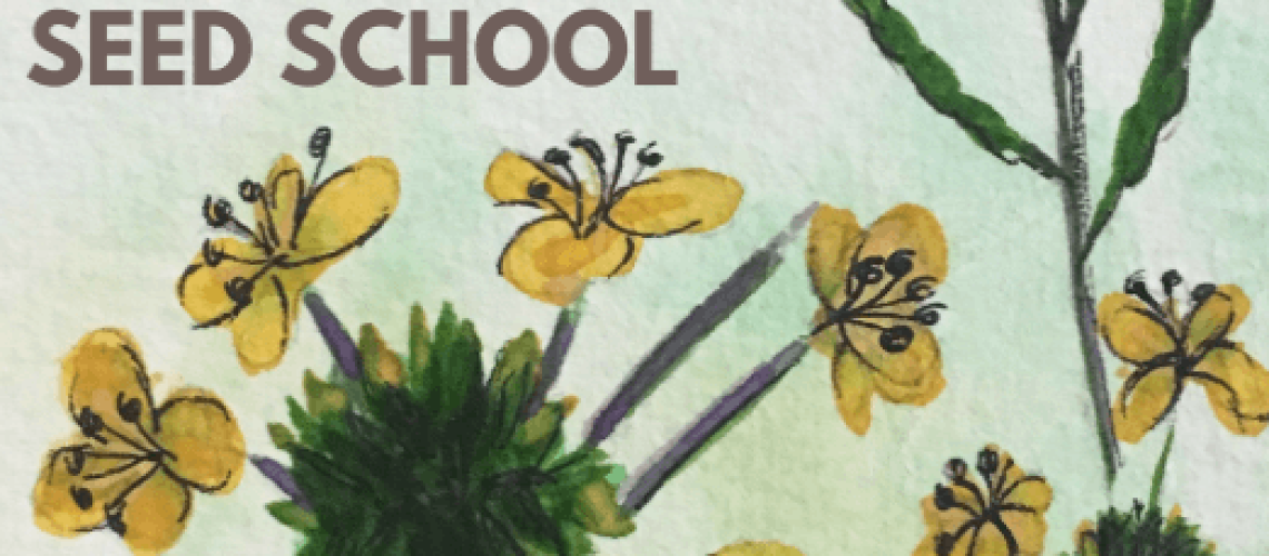 seed-school.png