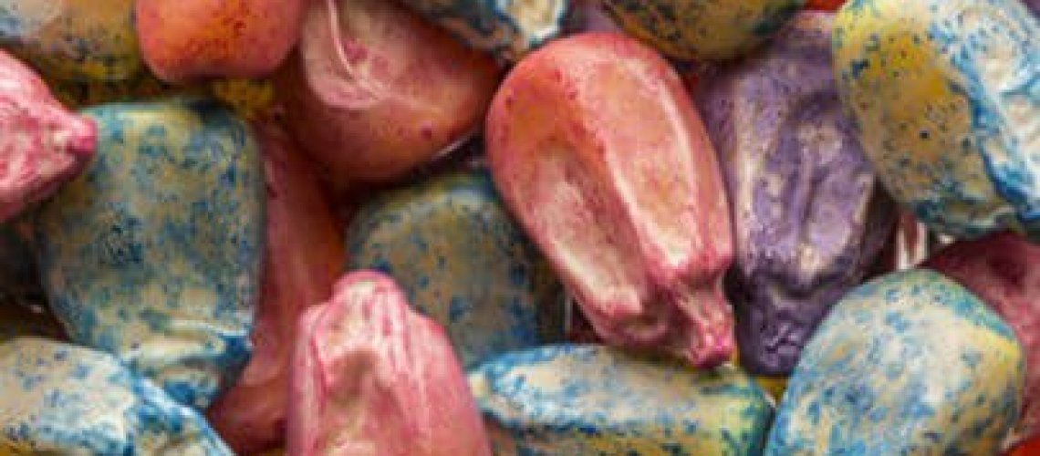 seeds-405x405.jpg
