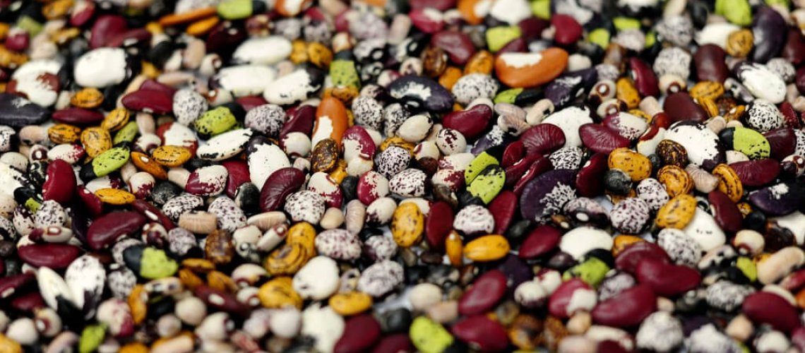 seeds.jpg