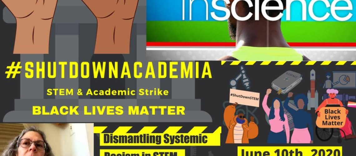 stem.jpg