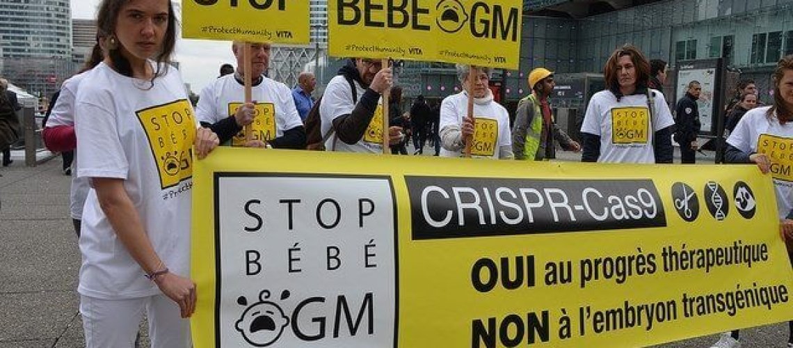 stop-bebe-ogm-alliance-vita-article-large.jpg