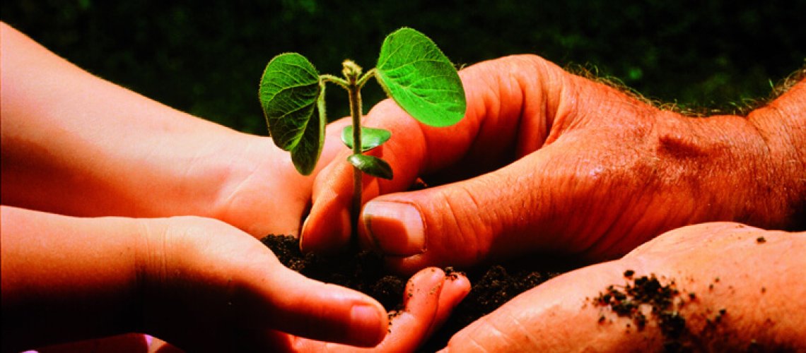 sustainfarming235678.jpg