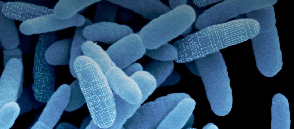 synbio-9-11-18-1.jpg