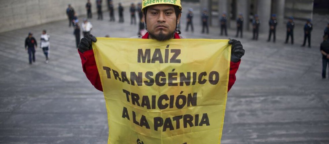 transgenicos-gettyimage-.jpg