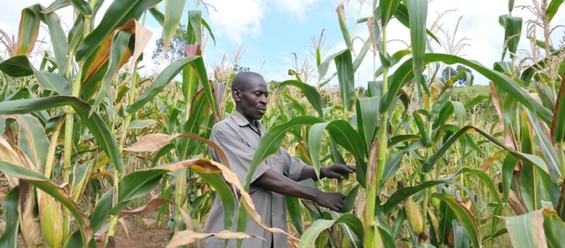 ugandafarming-.jpg