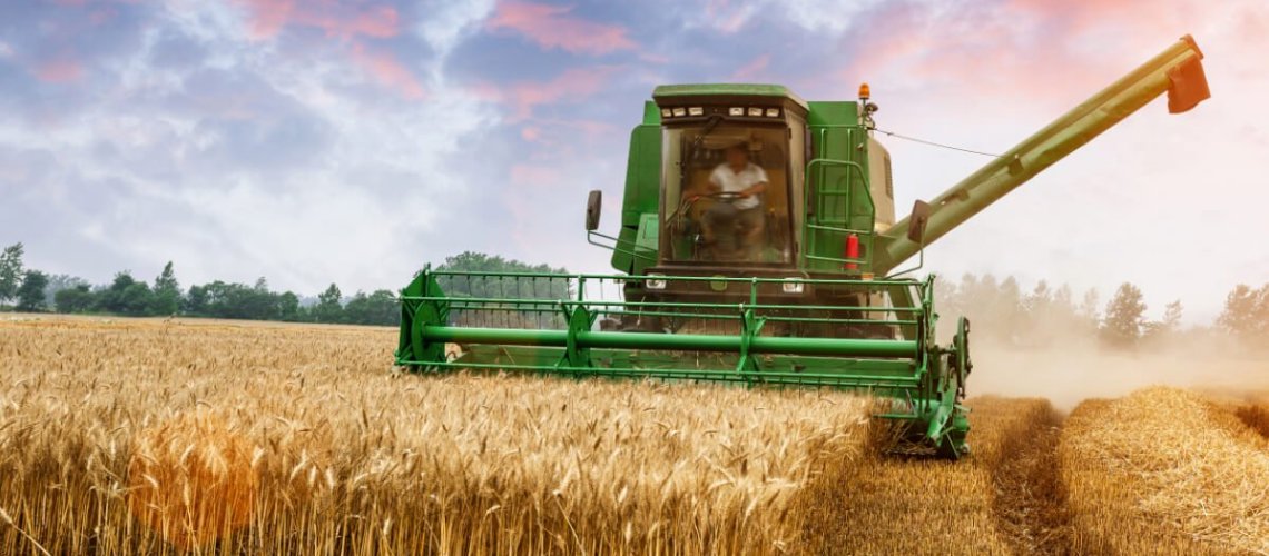 wheatfarmer-lead.jpg
