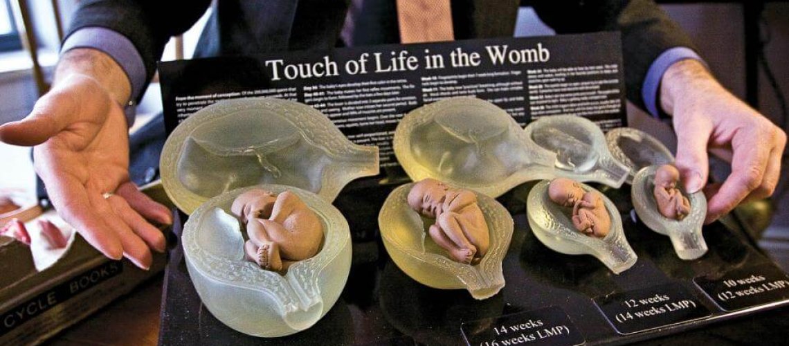 womb.jpg